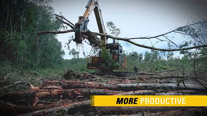 313D2 LGP Excavator Performs Forestry Applications in Indonesia