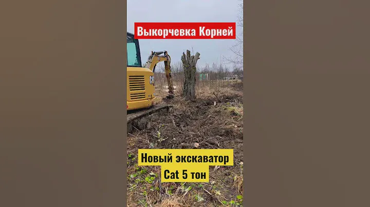 НОВЫЙ МИНИ ЭКСКАВАТОР Расчистка участка #участок #экскаватор #excavator #caterpillar #jcb #стройка