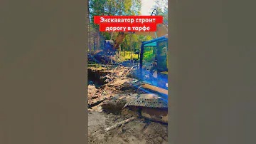ЭКСКАВАТОР CAT РАБОТАЕТ В БОЛОТЕ #экскаватор #стройка #jcb #участок  #caterpillar #строительство