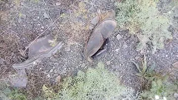 Ботинки Caterpillar (Caterpillar boots)