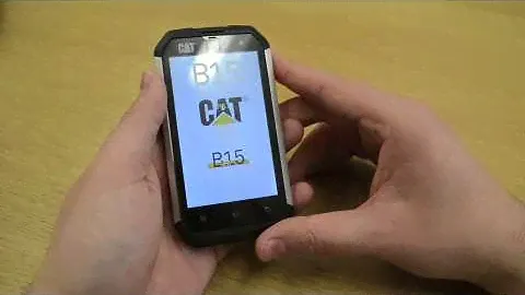 CAT B15 Demo