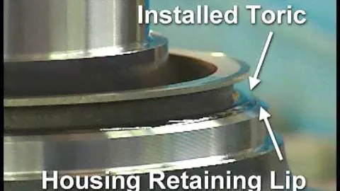 Cat® Seals