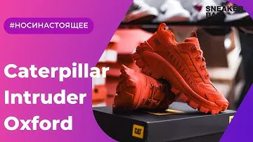 Обзор Caterpillar Intrument Oxford Red (P110460) на ножках | кроссовки.by