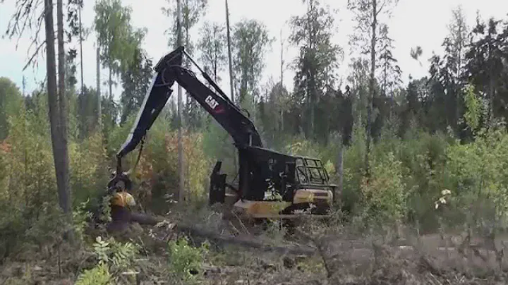Cat 320D FM Гусеничный харвестер